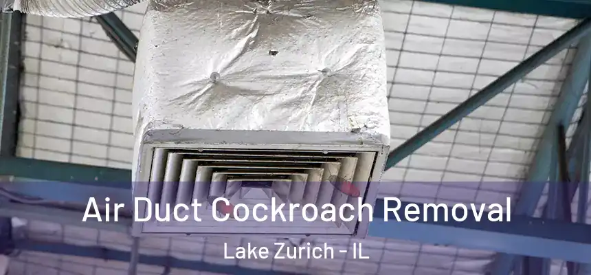  Air Duct Cockroach Removal Lake Zurich - IL
