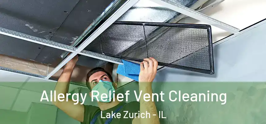  Allergy Relief Vent Cleaning Lake Zurich - IL