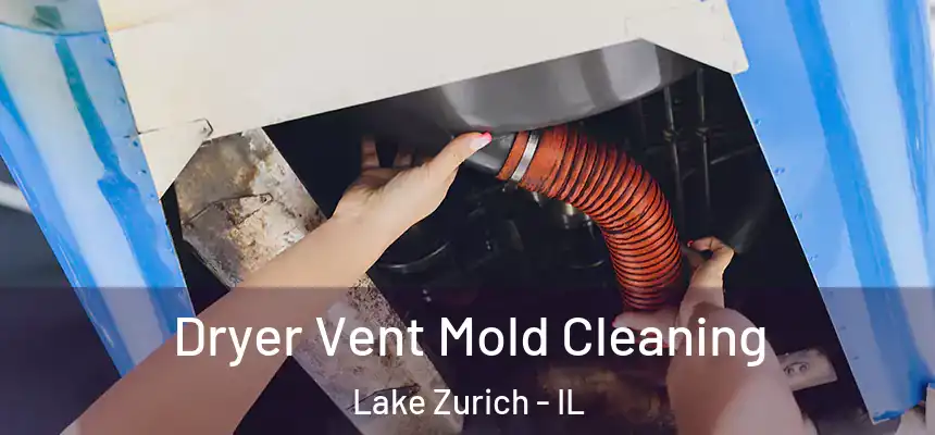  Dryer Vent Mold Cleaning Lake Zurich - IL