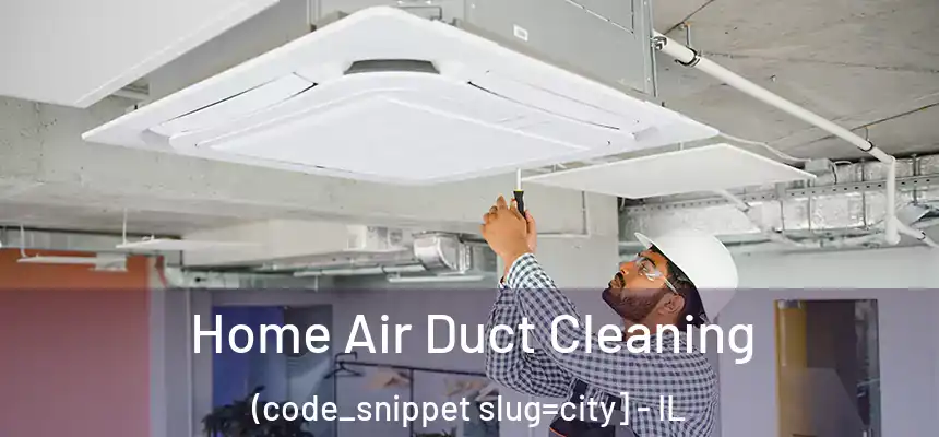  Home Air Duct Cleaning (code_snippet slug=city] - IL