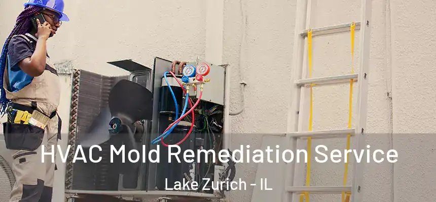  HVAC Mold Remediation Service Lake Zurich - IL