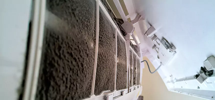 Preventive Air Duct Bacteria Removal in Lake Zurich