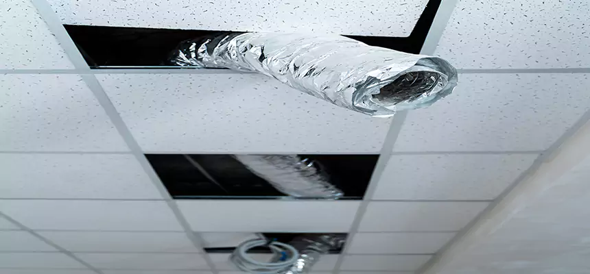 Our Air Duct Pet Hair Removal Services in Lake Zurich, IL