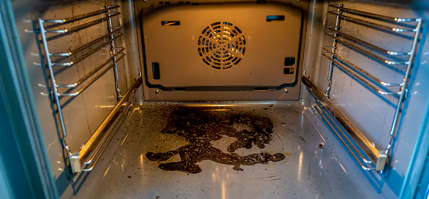 Our Dryer Vent Mold Cleaning Services in Lake Zurich, IL