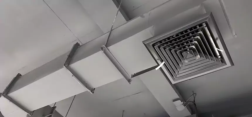 Our Pest Removal From Ducts Services in Lake Zurich, IL