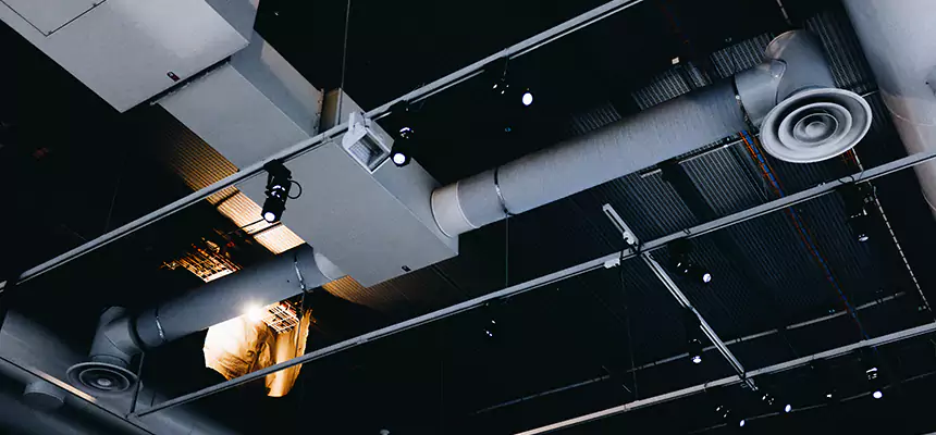 Our Seasonal Allergy Air Duct Cleaning Services in Lake Zurich, IL