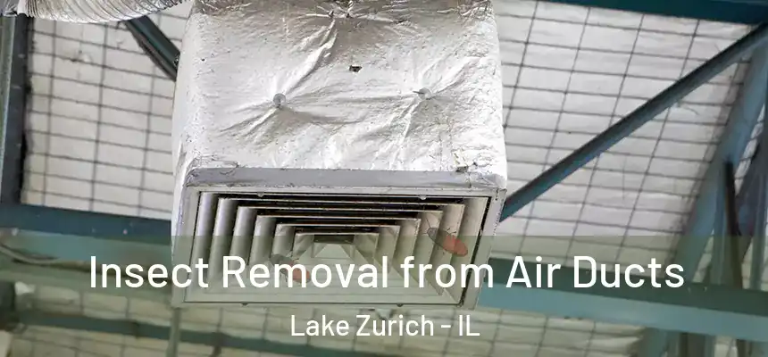  Insect Removal from Air Ducts Lake Zurich - IL