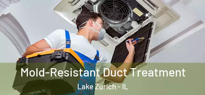 Mold-Resistant Duct Treatment Lake Zurich - IL