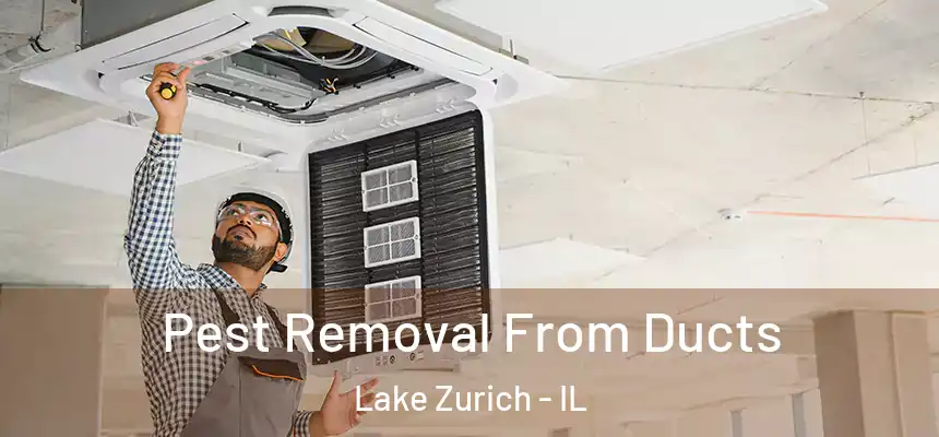 Pest Removal From Ducts Lake Zurich - IL
