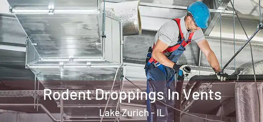  Rodent Droppings In Vents Lake Zurich - IL