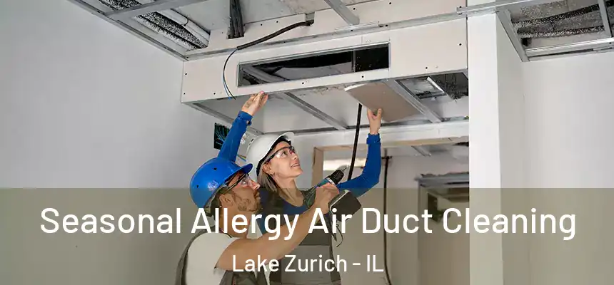 Seasonal Allergy Air Duct Cleaning Lake Zurich - IL