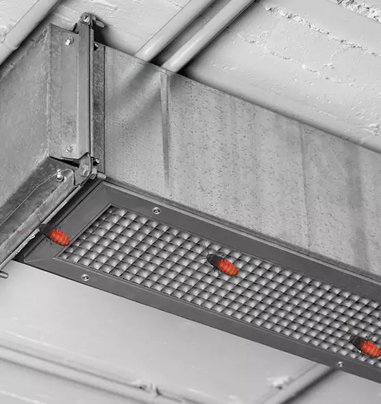 About Air Duct Cockroach Removal in Lake Zurich, IL