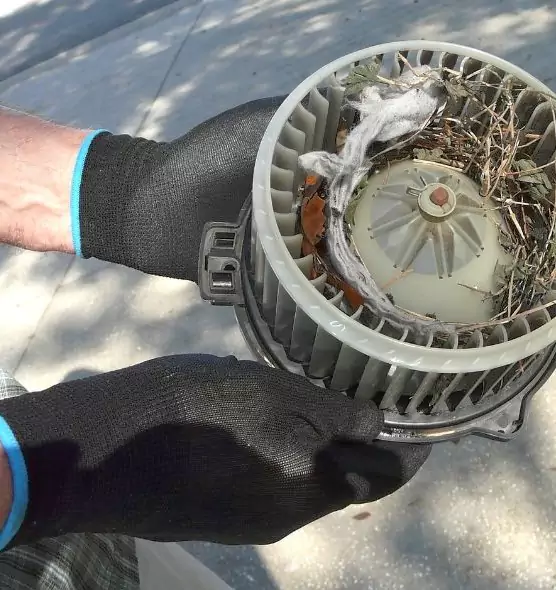 About Air Duct Mice Removal in Lake Zurich, IL