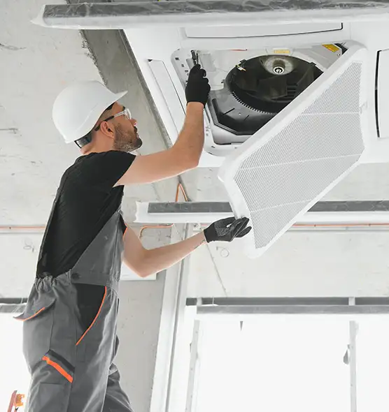 About Air Duct Rodent Removal in Lake Zurich, IL