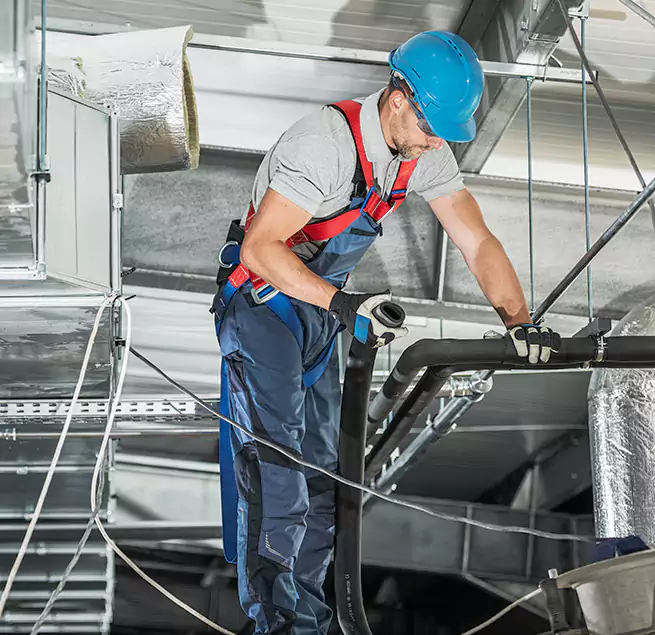 Why Homeowners & Businesses Trust Us in Lake Zurich, IL?