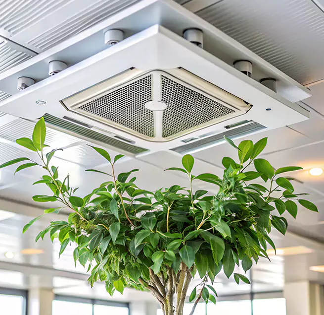 Why Homeowners & Businesses Trust Us in Lake Zurich, IL