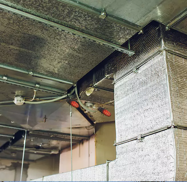 Why Homeowners & Businesses Trust Us Lake Zurich, IL?