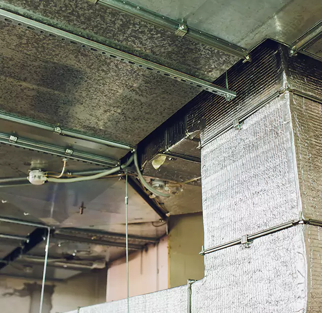 Why Homeowners & Businesses Trust Us in Lake Zurich, IL?